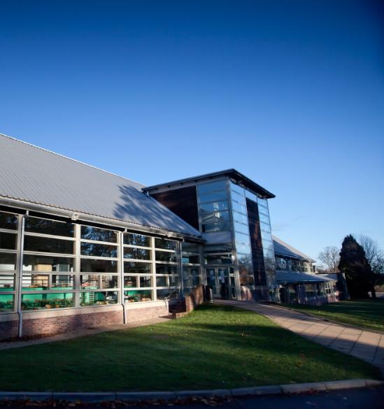 卡莱尔宾顿市的道路